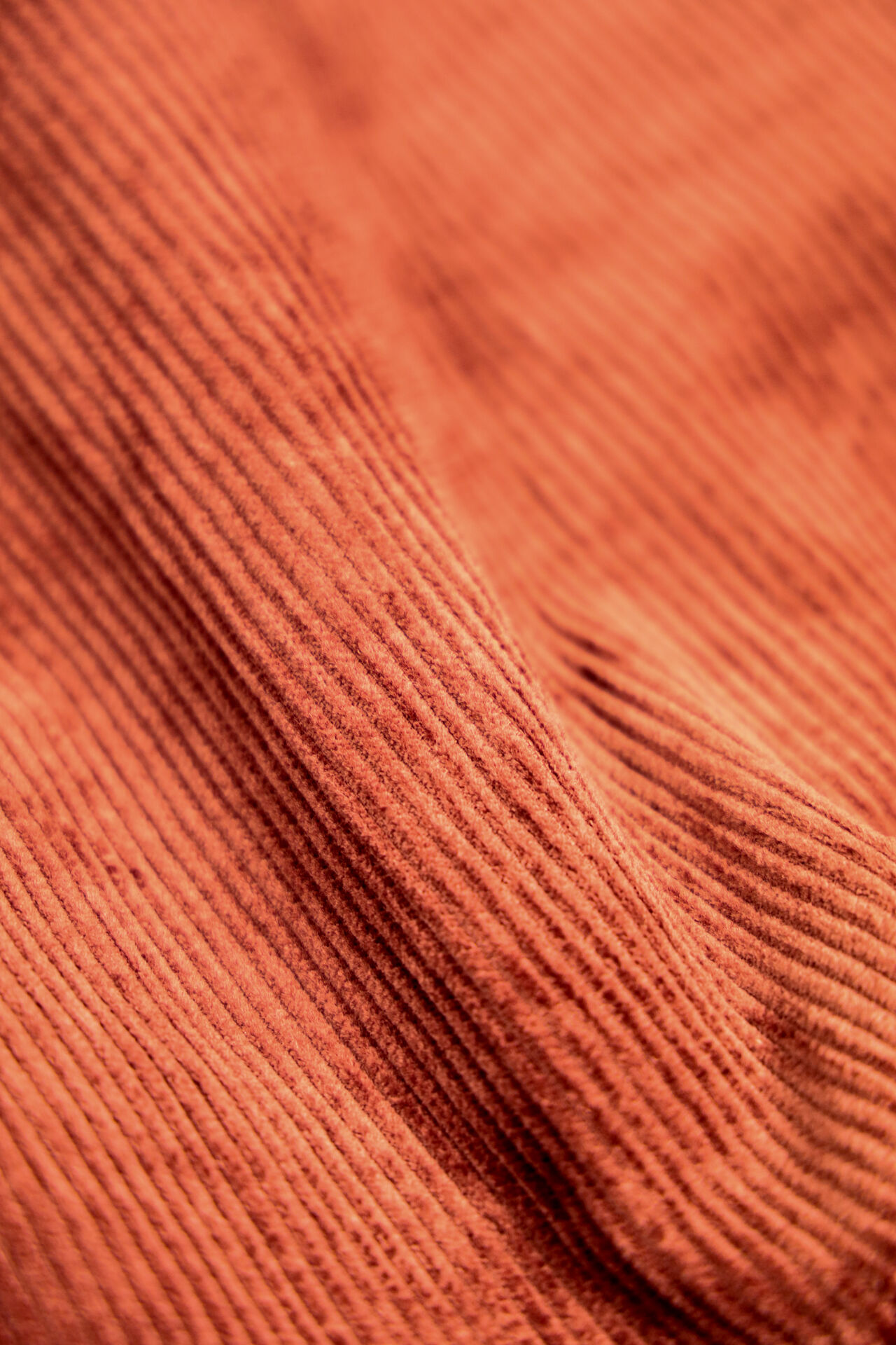 TNK501SZA "Sazanami" Corduroy Jacket (Brown) image number 10